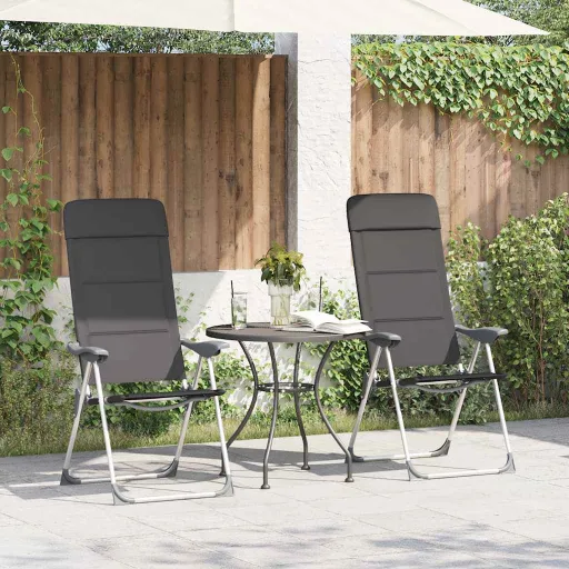 Cadeiras de Campismo   58x69x111 cm Alumínio Cinzento (2 pcs)