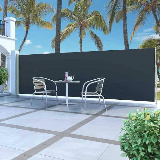 Toldo Lateral Retrátil 160 x 500 cm Preto