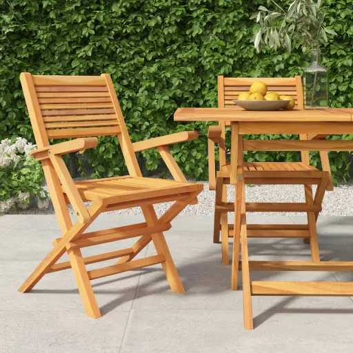 Cadeiras de Jardim Dobráveis   55x62x90 cm Teca Maciça (2 pcs)