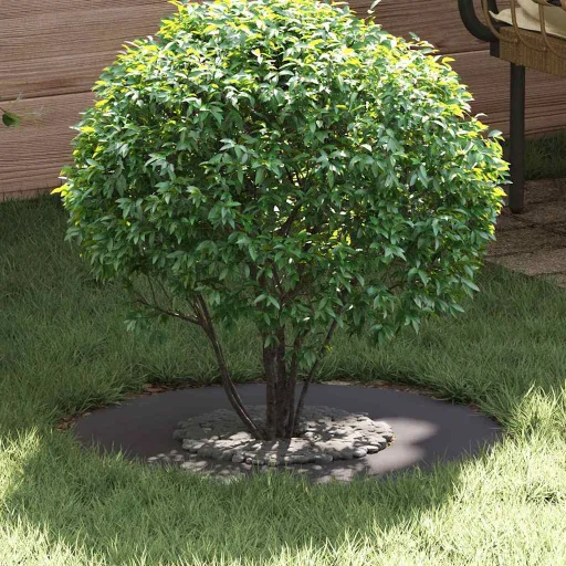 Adequado para Anel de Árvore Plano Preto Ø30 / 60 cm Aço