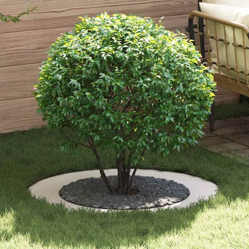 Adequado para Anéis de Árvore Planos   Branco Ø60 / 90 cm Aço (5 pcs)