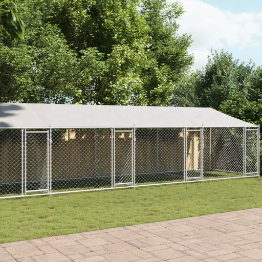 Jaula para Cão com Telhado/Portas 10x2x2m Aço Galvanizado Cinza
