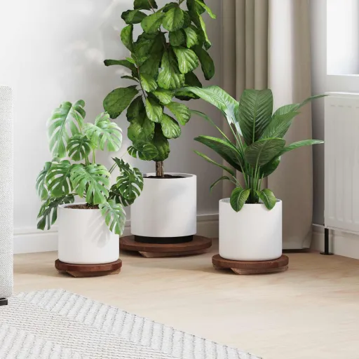 Banqueta de Planta   Castanho Madeira de Mogno (3 pcs)