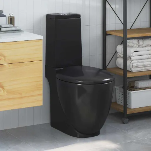 Sanita WC Redonda Cerâmica c/ Descarga Água Inferior Preto
