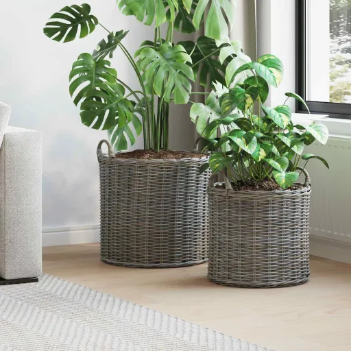 Cesta de Plantas com Armazenamento   Cinzeto Rattan Lacak (2 pcs)