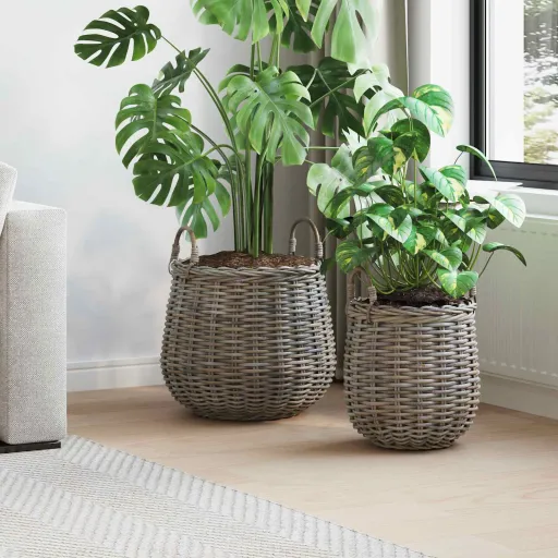 Cesta de Plantas com Armazenamento   Cinzeto Rattan Lacak (2 pcs)