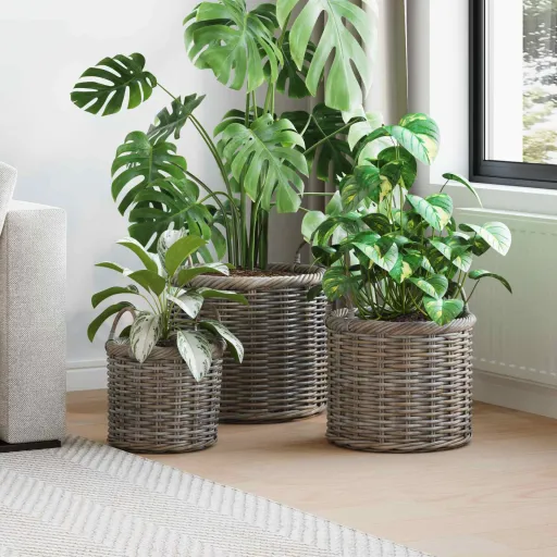 Cesta de Plantas com Armazenamento   Cinzeto Rattan Kubu (3 pcs)