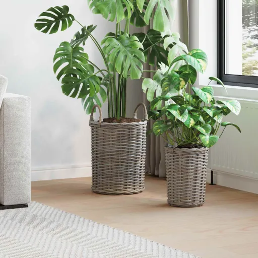 Cesta de Plantas com Armazenamento   Cinzeto Rattan Kubu (2 pcs)