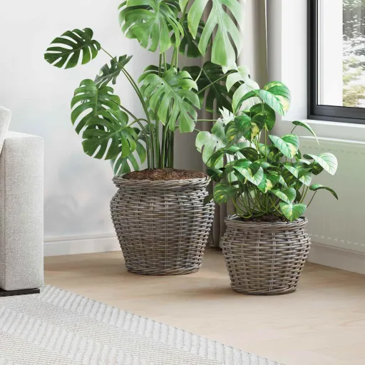 Cesta de Plantador com Armazenamento   Cinzeto Rattan Lacak (2 pcs)