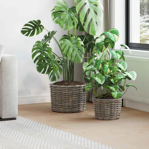 Cesta de Plantas com Armazenamento   Cinzeto Rattan Kubu (2 pcs)