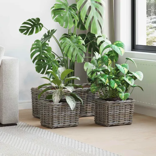Cesta de Plantas com Armazenamento   Cinzeto Rattan Kubu (3 pcs)