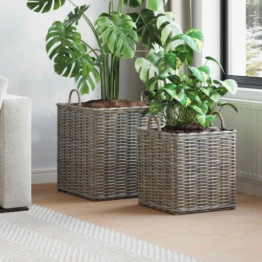 Cesta de Plantas com Armazenamento   Cinzeto Rattan Lacak (2 pcs)