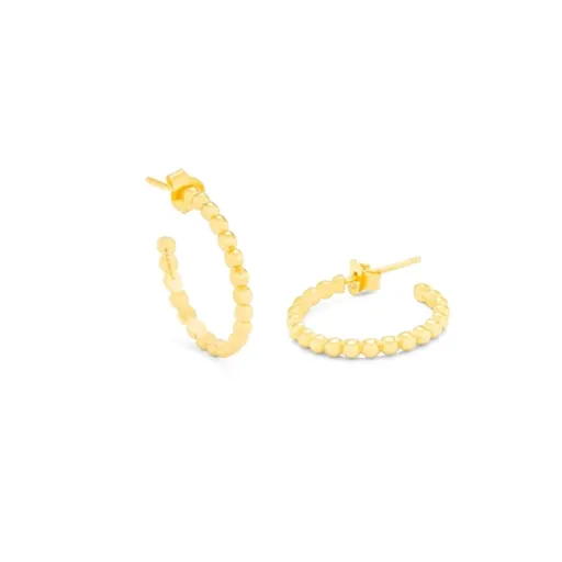 Brincos Femininos Radiant RY000016