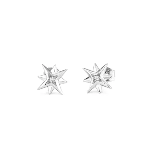 Brincos Femininos Radiant RY000032