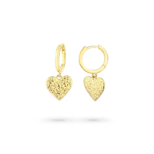 Brincos Femininos Radiant RY000107