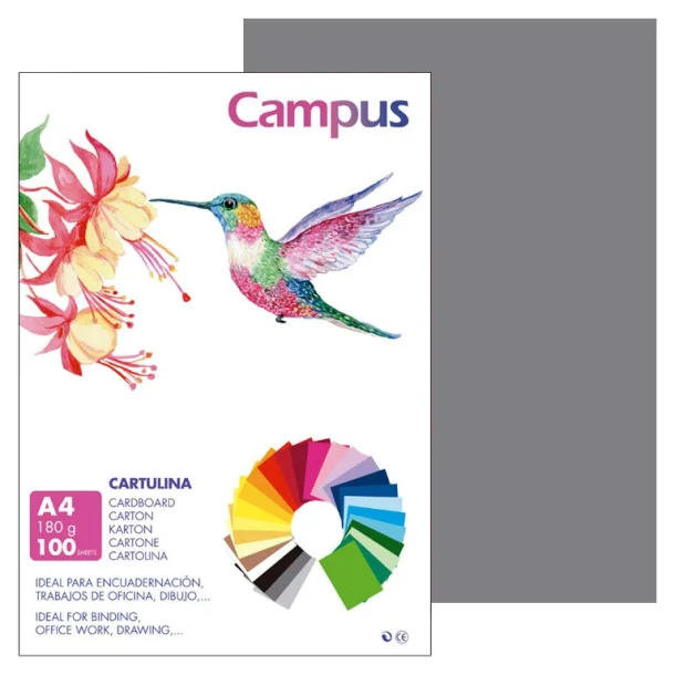 Cartolina Campus A4 180g Cinza Escuro - Campus