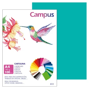 Cartolina Campus A4 180G Verde Menta - Campus