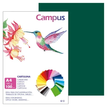 Cartolina Campus A4 180G Verde Selva 100 Un. - Campus