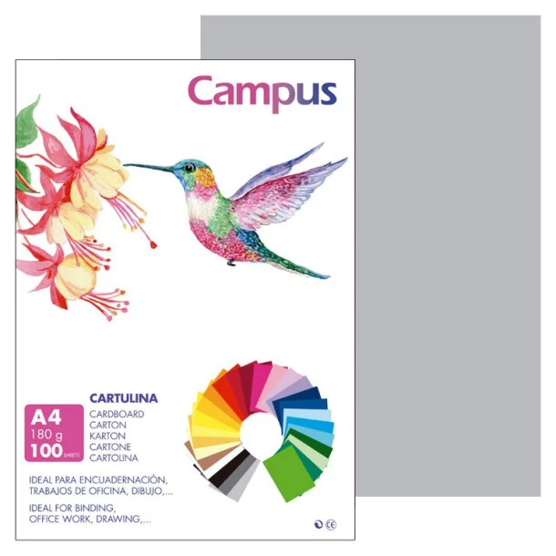 Cartolina Campus A4 180g Cinza Claro - Campus