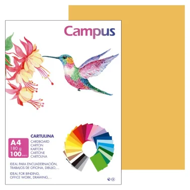 Cartolina Campus A4 180g Couro - Campus
