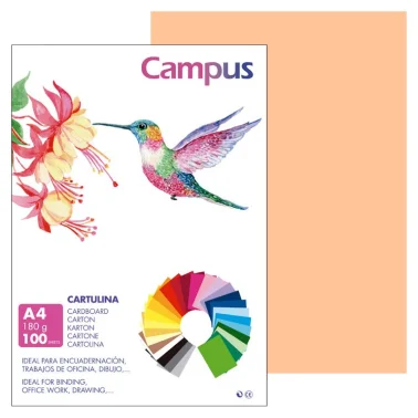 Cartolina Campus A4 180g Vermelho Carne - Campus