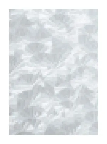Rolo Autocolante D-c-Fix Transparente para Vidros 0.45x15m
