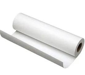 Papel Plotter 841mmx50m 75Microns Ppc Poliéster (Rolos Ploter)