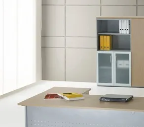 Armário de Escritório com Portas de Bater em Vidro 790x800x440 mm – Better