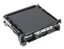 Banda de Tansferencia Epson Aculaser S053024