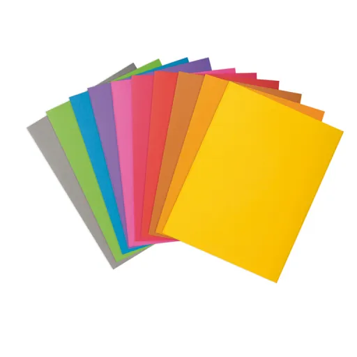 Dossier Cartolina Exacompta A4 220G Sortido