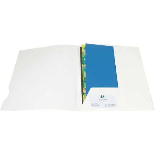 Dossier Cartolina Exacompta A4 2 Abas Branco