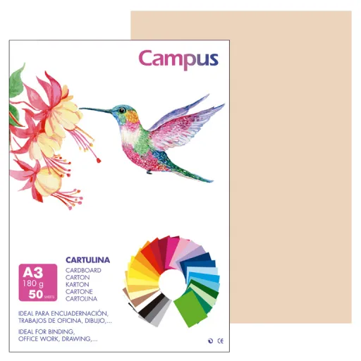 Cartolina Campus A3 180g Creme – Campus