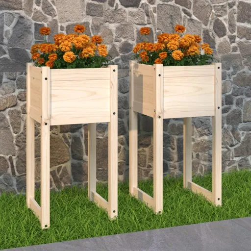 Vasos/Floreiras   40x40x81 cm Pinho Maciço (2 pcs)
