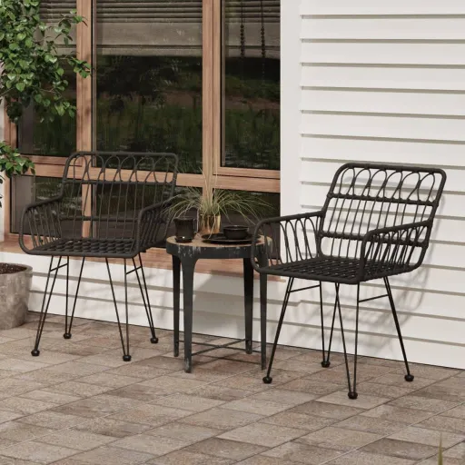Cadeiras Jardim c/ Apoio Braços   56x64x80 cm Vime PE Preto (2 pcs)