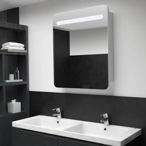 Armário Espelhado para Casa de Banho com LED 68x9x80 cm