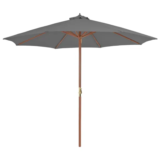 Guarda-Sol de Exterior com Mastro de Madeira 300 cm Antracite