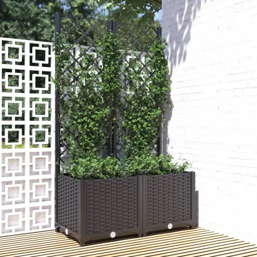 Vaso de Jardim com Treliça Preto 80x40x136 cm PP