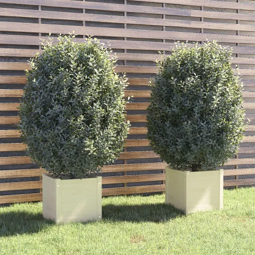 Vasos/Floreiras de Jardim   40x40x40 cm Pinho Maciço Branco (2 pcs)