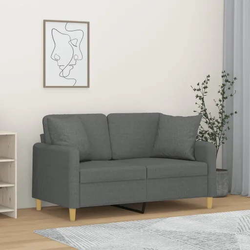 Sofá 2 Lugares +Almofadas Decorativas 120cm Tecido Cinza-Escuro