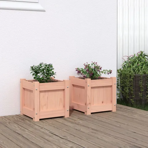 Vasos/Floreiras de Jardim   Madeira de Douglas Maciça (2 pcs)
