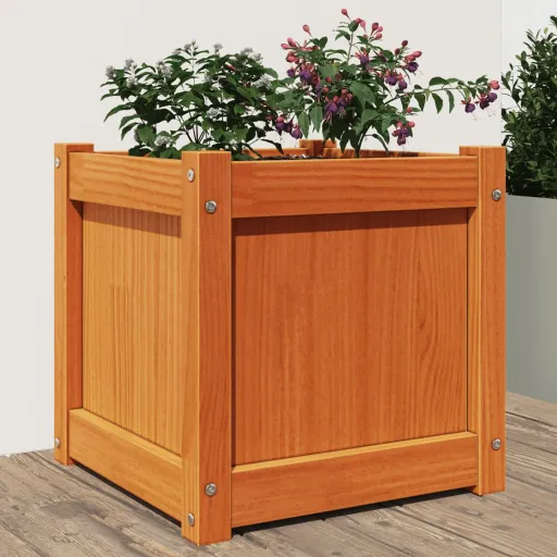 Vaso/Floreira de Jardim 40x40x40 cm Pinho Maciço Castanho Cera