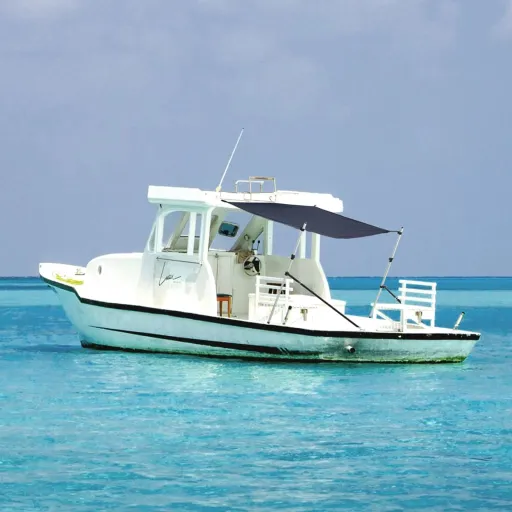 Extensão de Toldo em T 170x208x(115-183) cm Azul-Marinho