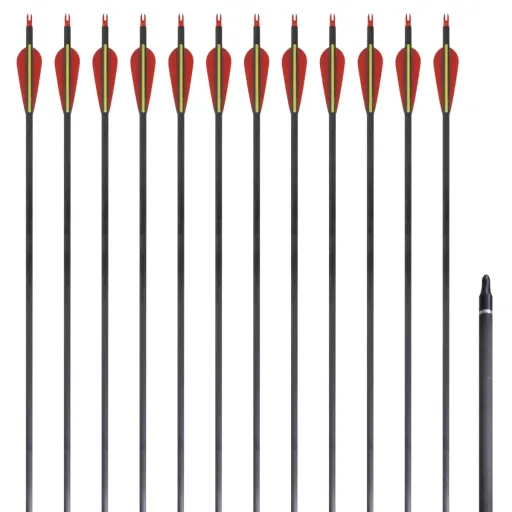Flechas para Arco Recurvo Padrão   30" 0,76 cm Carbono (12 pcs)