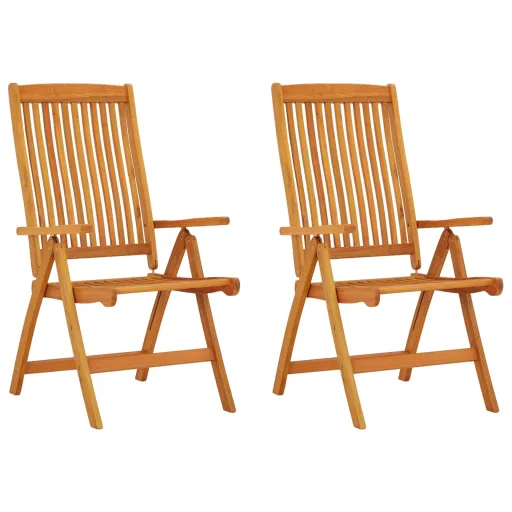 Cadeiras de Jardim Dobráveis   Madeira de Eucalipto Maciça (2 pcs)
