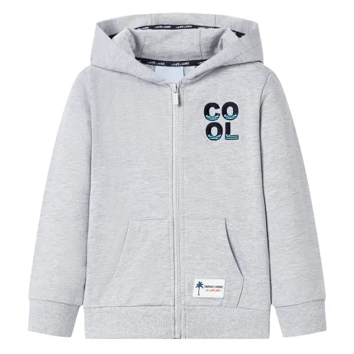 Sweatshirt para Criança com Capuz e Fecho Cinzento 92