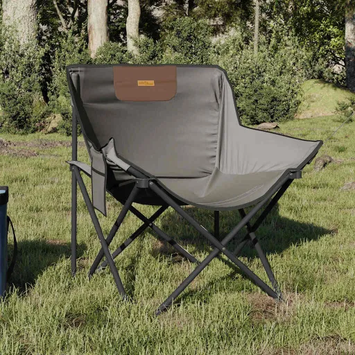 Cadeiras de Campismo com Bolso Dobráveis   Cinzento (2 pcs)