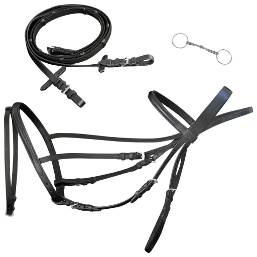 Cabeçada de Couro com Rédeas e Brida, Preto, Full