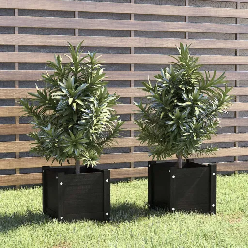 Vasos/Floreiras de Jardim   31x31x31 cm Pinho Maciço Preto (2 pcs)