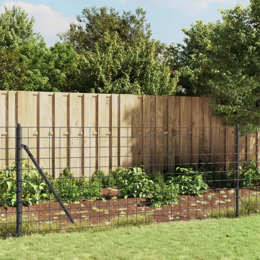 Cerca de Malha de Arame 1,1x10 m Aço Galvanizado Antracite