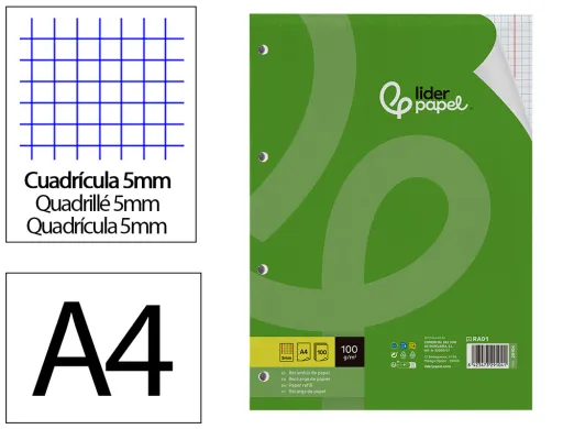 Recarga Din A4 100 F 100 gr Quadriculado